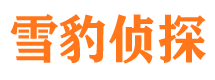 潮南侦探公司